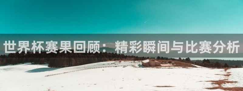 世界杯足球赛：世界杯赛果回顾：精彩瞬间与比赛分析