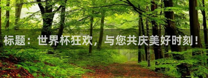 世界杯欧洲区预选赛赛程：标题：世界杯狂欢，与您共庆美好时刻！
