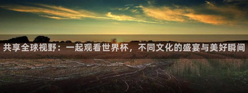 2026世界杯中国队：共享全球视野：一起观看世界杯，不同文化的盛宴与美好瞬间