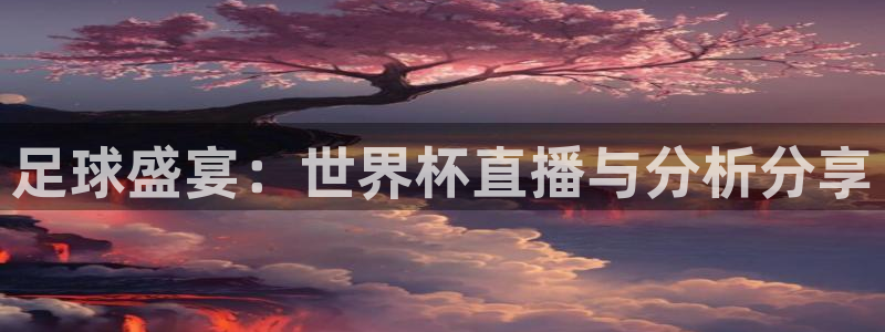 2026男足世界杯赛程：足球盛宴：世界杯直播与分析分享