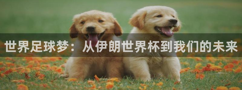世界杯欧洲区世预赛赛程：世界足球梦：从伊朗世界杯到我们的未来