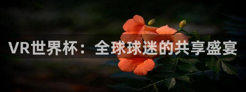 2026世界杯官网入口：VR世界杯：全球球迷的共享盛宴