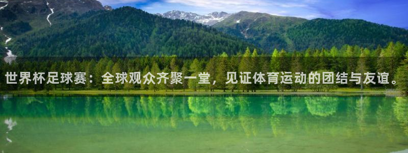 美国世界杯：世界杯足球赛：全球观众齐聚一堂，见证体育运动的团结与友谊。