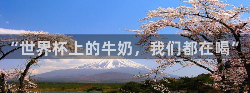 26世界杯：“世界杯上的牛奶，我们都在喝”