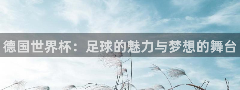 世界杯预选赛赛程：德国世界杯：足球的魅力与梦想的舞台