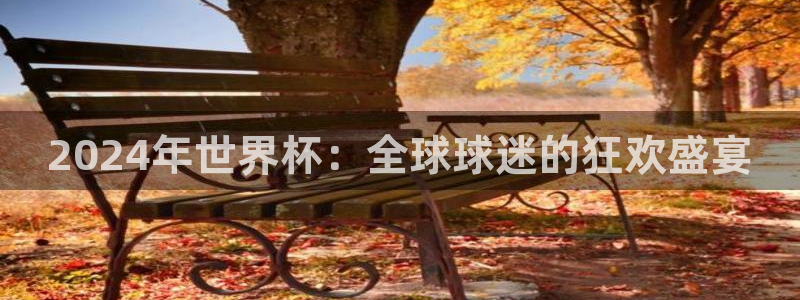 2026年世界杯：2024年世界杯：全球球迷的狂欢盛宴