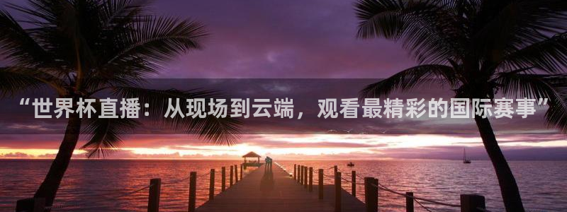2026年男足世界杯：“世界杯直播：从现场到云端，观看最精彩的国际赛事”